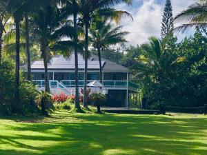 une maison avec des palmiers devant elle dans l'établissement Ala Kai Bed and Breakfast, à Keaau