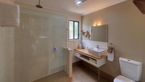 un bagno con doccia, lavandino e WC di 31 The Rocks a Stanthorpe