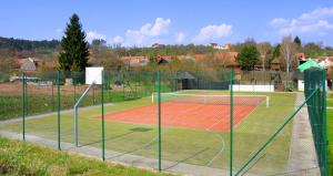 Tenis a/nebo squash v ubytování Hotel U Tří volů nebo okolí