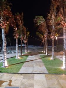 a row of palm trees in a park at night at Ap Paraiso das Dunas - Pé na areia in Aquiraz