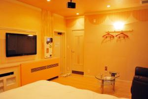 TV a/nebo společenská místnost v ubytování Ena Hotel Venus