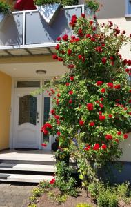 un arbusto de flores rojas delante de una casa en Ferienwohnung Kirsch, en Sankt Wendel