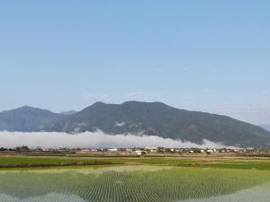 une vue sur un champ avec une montagne en arrière-plan dans l'établissement 花總管, à Chin-yüan