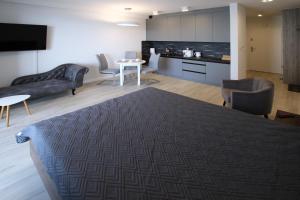 Kuchnia lub aneks kuchenny w obiekcie LUX Apartament Rogowo Pearl