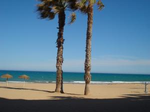 zwei Palmen am Strand mit dem Meer in der Unterkunft Luxury appartement 2c La Mata 50m from the sea in La Mata