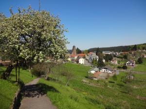 Příroda nedaleko bed and breakfast
