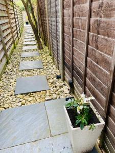 Modern, peaceful flat in the heart of Wimbledon