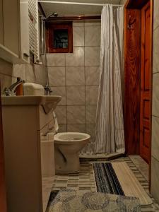 a bathroom with a toilet and a sink and a shower at Vikendica Ole Apartman 2. in Pale