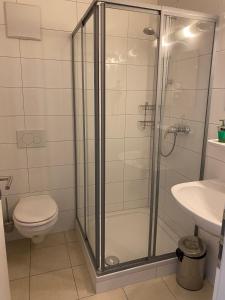バート・メルゲントハイムにあるGasthof Linde-Classicoのバスルーム(シャワー、トイレ、シンク付)