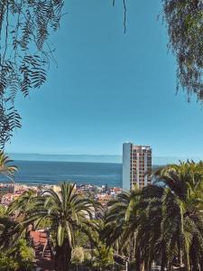 uma vista para uma praia com palmeiras e um edifício em Iriarte52 em Puerto de la Cruz