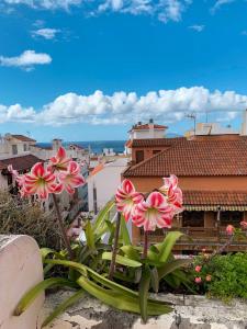 Fotografie z fotogalerie ubytování Iriarte52 v destinaci Puerto de la Cruz + 3 fotografie