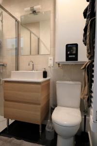 uma casa de banho com um WC, um lavatório e um espelho. em Studio l'évasion, parfait pour vous détendre em Divonne-les-Bains