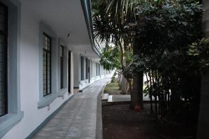 Zahrada ubytování Hotel Posada Santa Fe