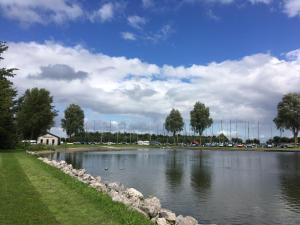un gran lago con patos en el agua en B&B De Kamer, en Wervershoof