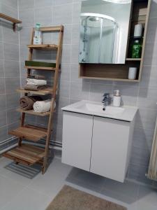 ein Badezimmer mit einem Waschbecken, einem Spiegel und einem Regal in der Unterkunft Grand studio, super équipé, 2 pas du centre-ville "clos-du-boulanger" in Montbéliard