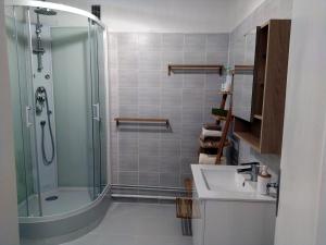 y baño con ducha y lavamanos. en Grand studio, super équipé, 2 pas du centre-ville "clos-du-boulanger", en Montbéliard