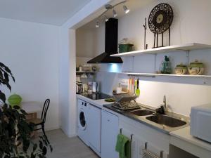 a kitchen with a sink and a washing machine at Grand studio, super équipé, 2 pas du centre-ville "clos-du-boulanger" - parking privé in Montbéliard