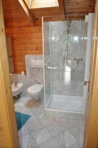 a bathroom with a shower and a toilet at Ferienhaus Wilder Kaiser in Kiefersfelden