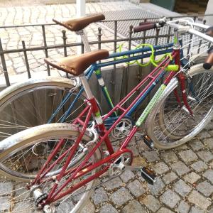 Катание на велосипеде по территории Villa Schmidt или окрестностям