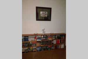 una estantería llena de libros en una habitación en Casa Ivan en San Giorgio a Liri
