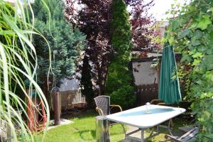 een tuin met een tafel en een groene parasol bij 2-Raum Ferienwohnung in Connewitz in Leipzig