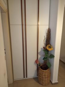 Fotografia z galérie ubytovania Beautiful Apartment -up to 4 guests- close to City Centre! v Solúne