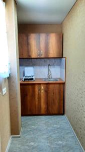 Dapur atau dapur kecil di Sky Star
