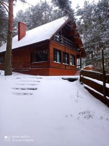 una cabaña de madera en la nieve con nieve en Dom Parlinek agroturtstyka wędkowanie sauna jacuzzi en Dąbrowa
