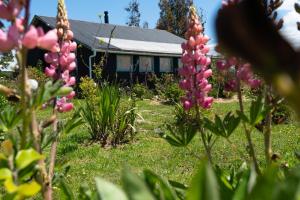 una casa en el fondo con flores rosas en primer plano en Cabañas ChiloeisLife Countryside, en Castro