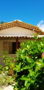 Zahrada ubytování Pousada Villages Boutique Hotel - 150m da Praia da Laje