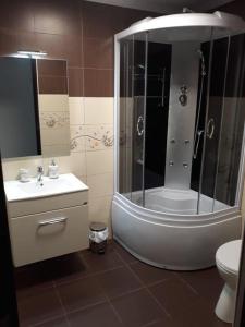 a bathroom with a shower and a sink and a toilet at Pensiunea La Buru in Căraciu +43 photos