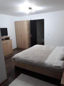 a bedroom with a bed and a cabinet and a television at Pensiunea La Buru in Căraciu