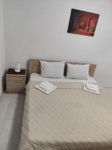 - une chambre avec un lit et 2 serviettes dans l'établissement Villa Ivanovi, à Ohrid