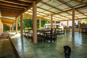 Gallery image of Gipsy Ranch Rooms in Cabarete