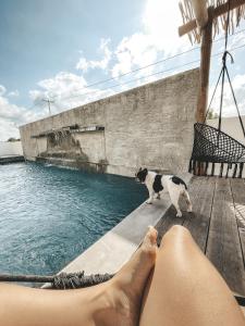 Bazén v ubytování Boutique Hotel EL NIDO Holbox nebo v jeho okolí