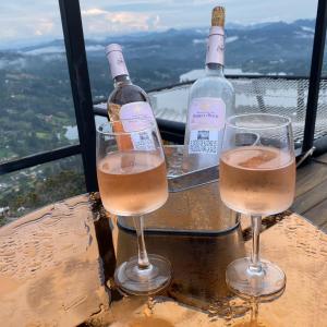 dos copas de vino sentadas en una mesa con botellas de vino en Glamping La Montaña Sagrada, en Medellín