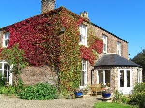 a brick house covered in ivy at Marton Grange Country House in Bridlington