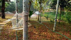 een hangmat aan een boom met een slang bij NIDHIVANA FARMS & RESORT, bakrebail-salethoor rd, Mangalore in Mangalore