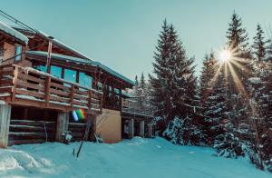 Gallery image of Montana Lodge - Dorna Escape in Dorna Arini