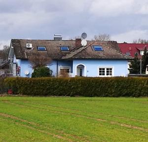 a white house with blue windows and a yard at Ferienwohnungen-Hasselroth in Hasselroth