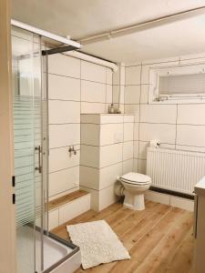 a bathroom with a toilet and a glass shower at Ferienwohnung Landlust Wolfenbüttel in Klein Denkte