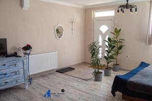 Televízia a/alebo spoločenská miestnosť v ubytovaní FruPi-Apartmanok