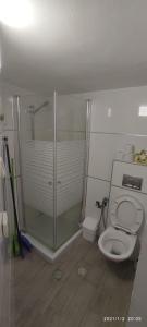 y baño con ducha de cristal y aseo. en Yair room apartment, en Jerusalén
