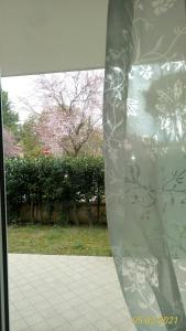 a glass window with a view of a yard at B&B IL NIDO in Cattolica