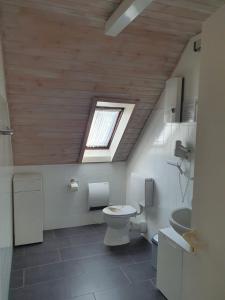 een badkamer met een toilet en een raam bij Silbersee90 in Frielendorf