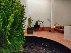 a room with potted plants and a couch and a chair at Riad Medina Mudejar in Toledo