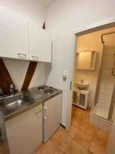 eine kleine Küche mit einer Spüle und einer Arbeitsplatte in der Unterkunft Apartment nahe Unikliniken in Erlangen