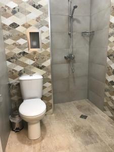 a bathroom with a toilet and a shower at Central Loft in Plovdiv
