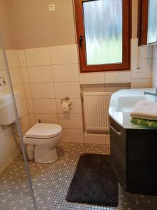 a bathroom with a toilet and a sink and a window at Ferienwohnung Rheinzeit beim Toni mit Terrasse und Balkon mit Rheinblick in Boppard +28 photos