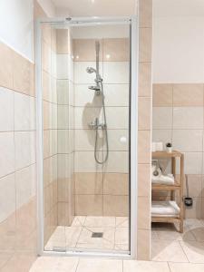 a shower with a glass door in a bathroom at Penzion Zelený Háj in Merklín